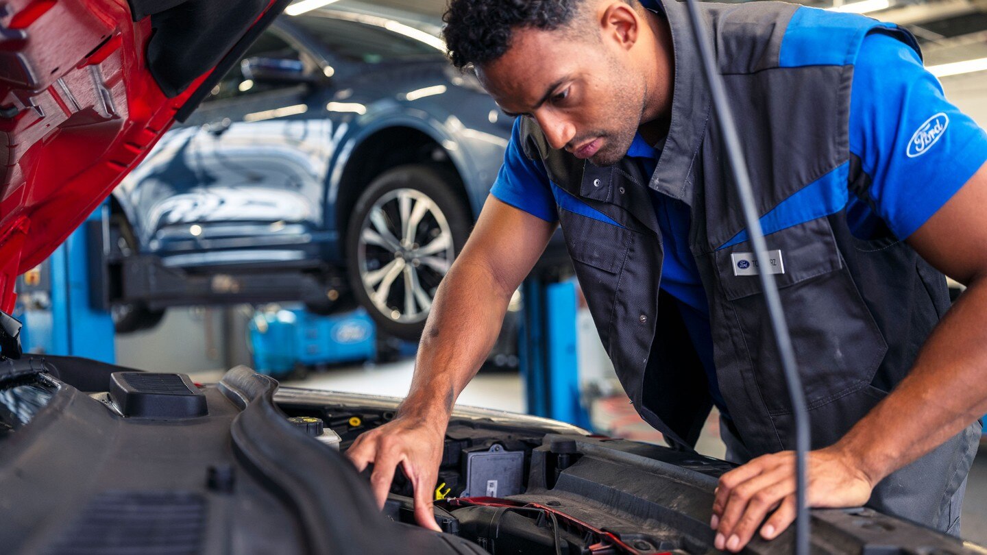 Ford Servis