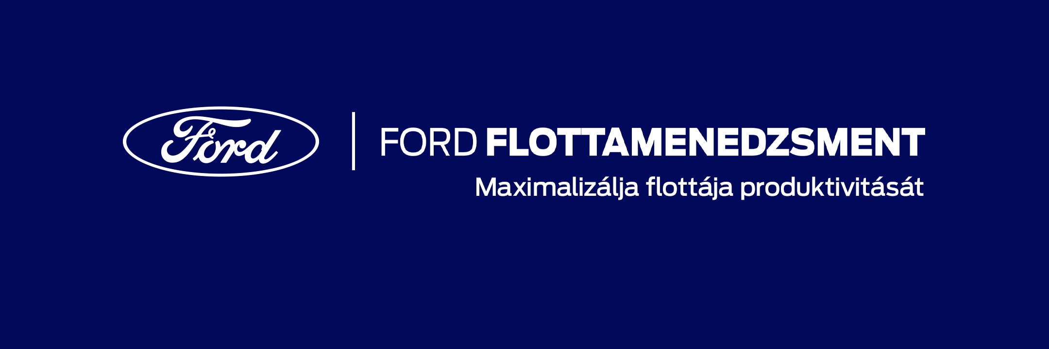 FORD FLOTTAMEGOLDÁSOK