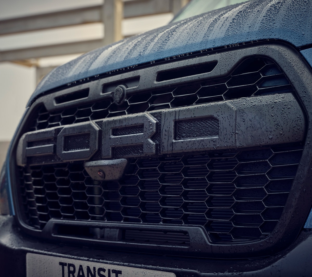 Ford Transit Trail front grille